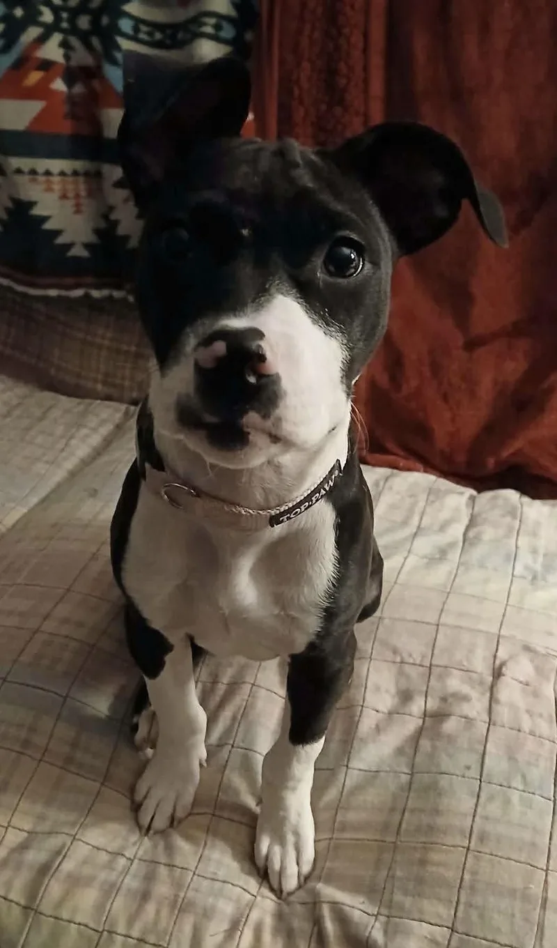 Nyla Noon thumbnail 3