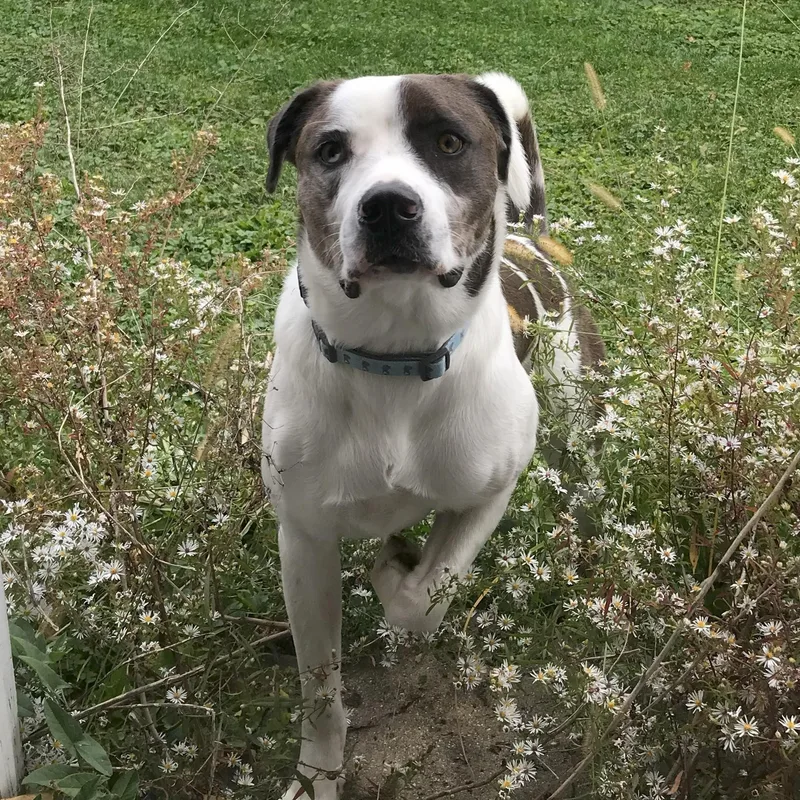 Zz  Classified Ad thumbnail 4