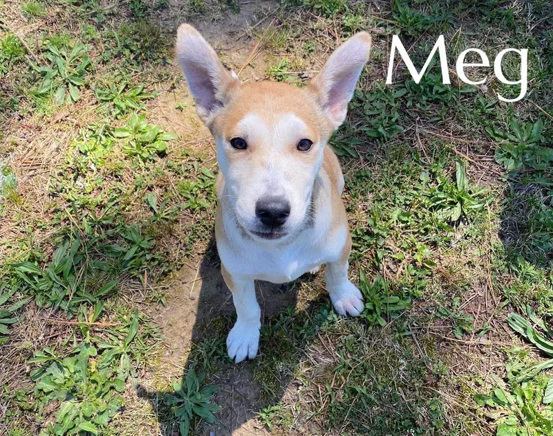 Meg thumbnail 2
