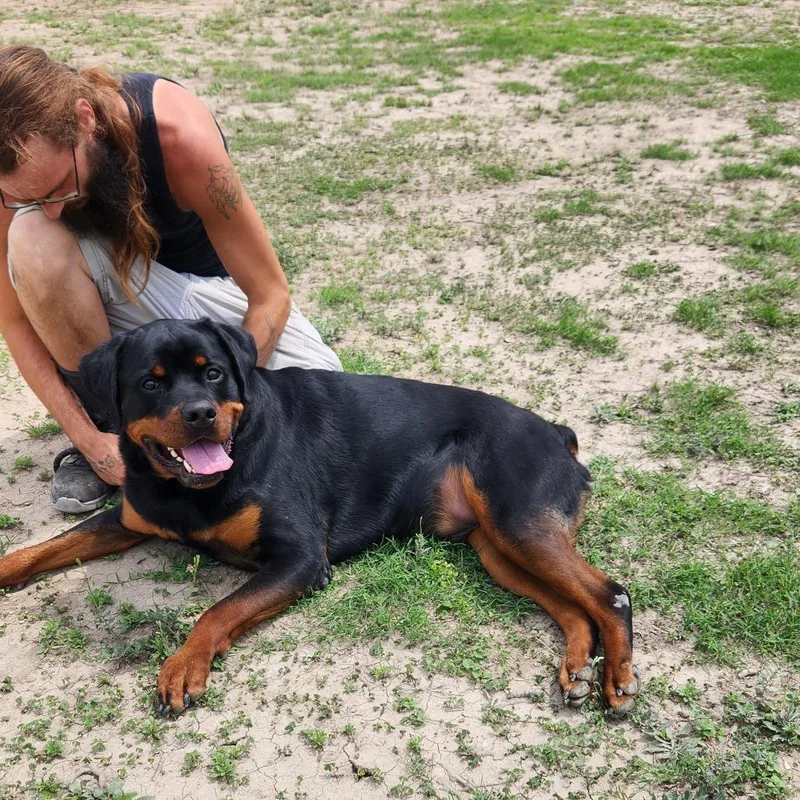 Forte Jum thumbnail 5