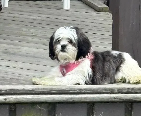 Zoey