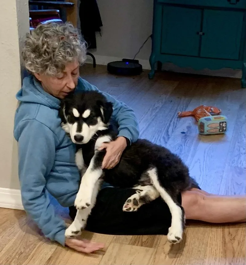 Baxter thumbnail 5