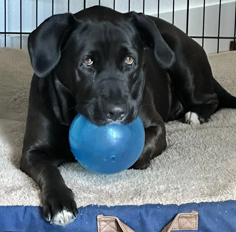 Maggie thumbnail 3