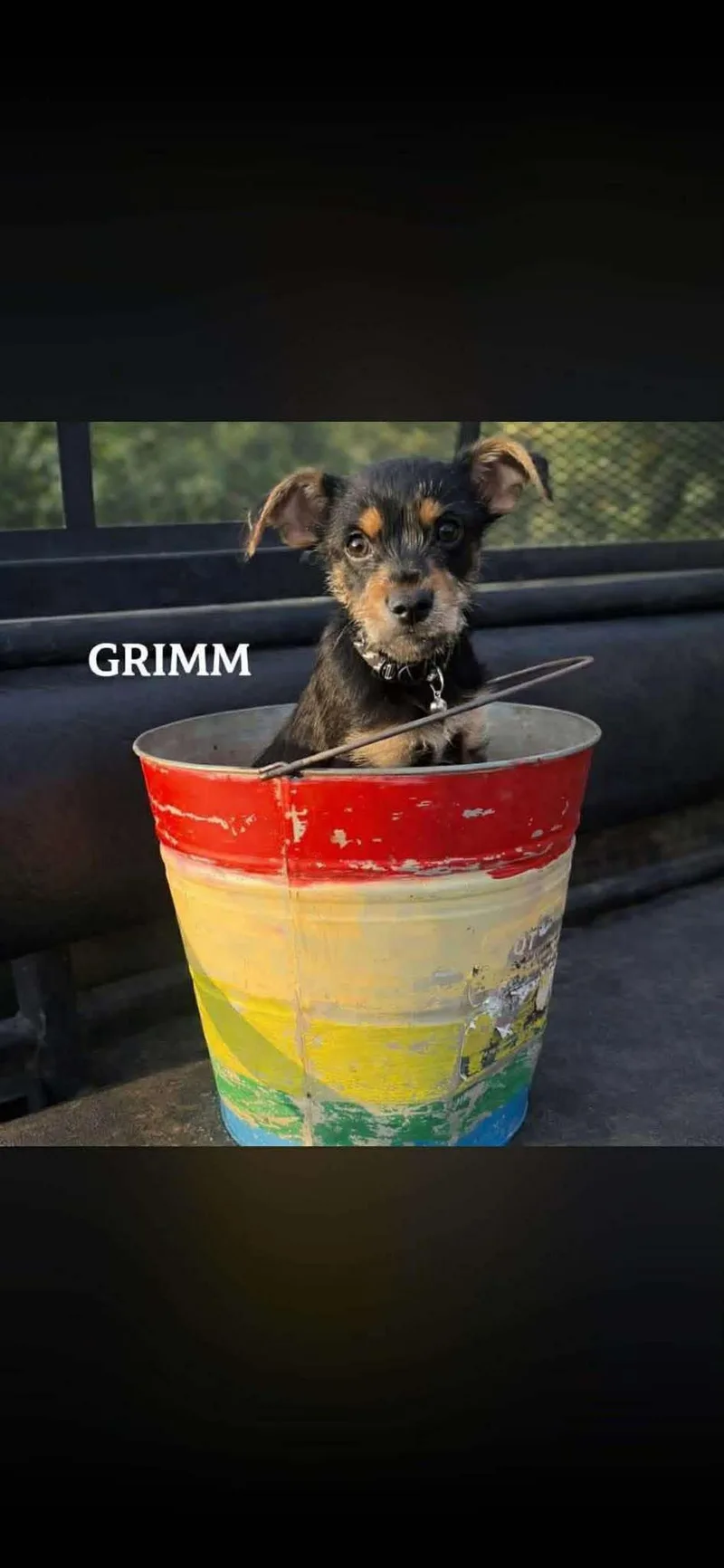 Grimm thumbnail 3