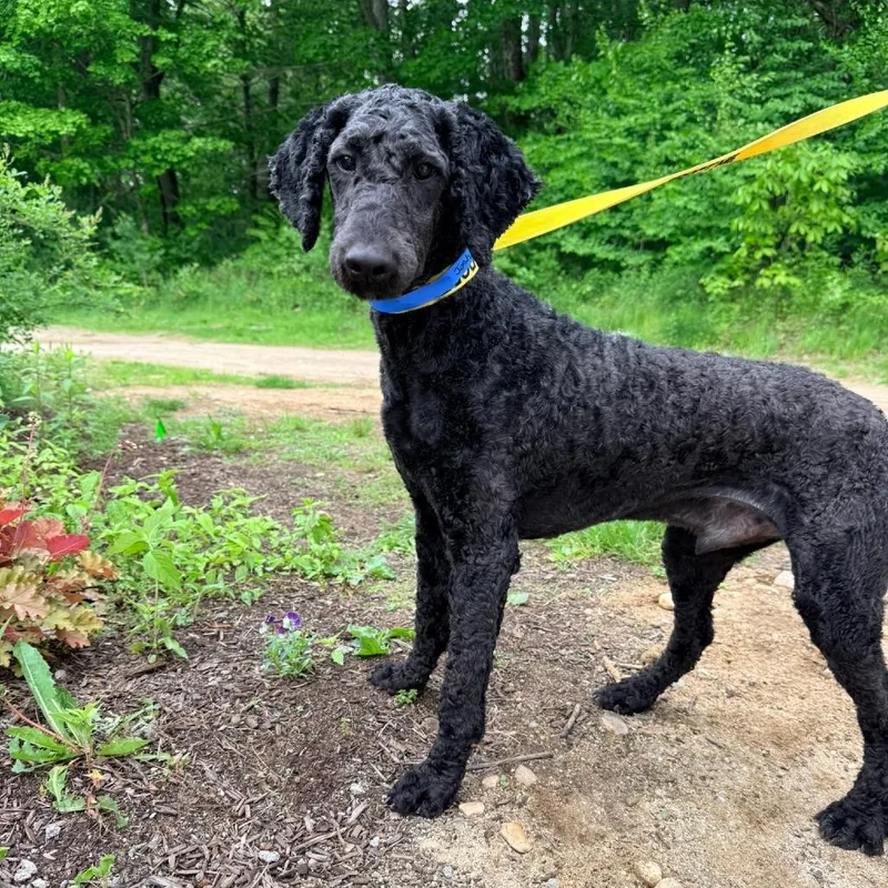 Ct Josh thumbnail 3