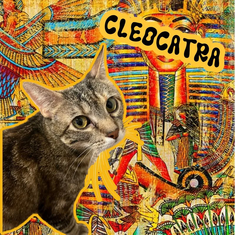 Cleo thumbnail 2