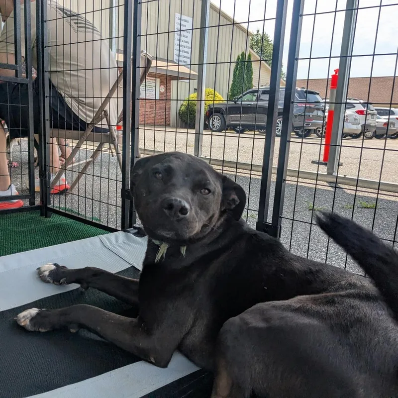 Baby Girl thumbnail 3