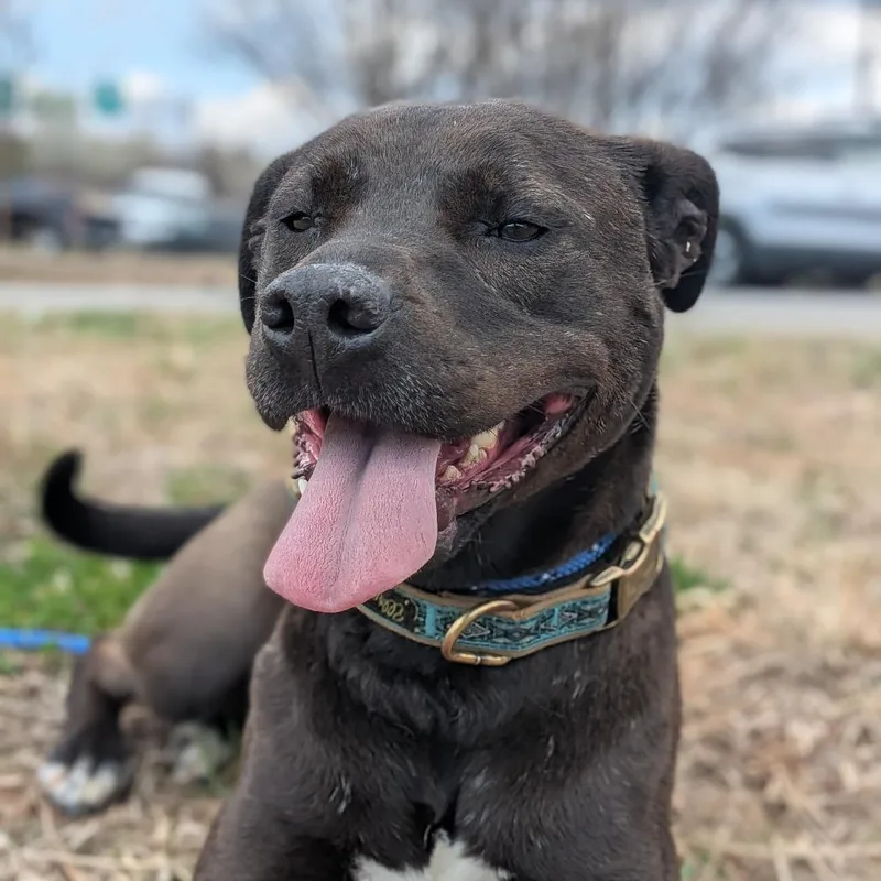 Baby Girl thumbnail 4