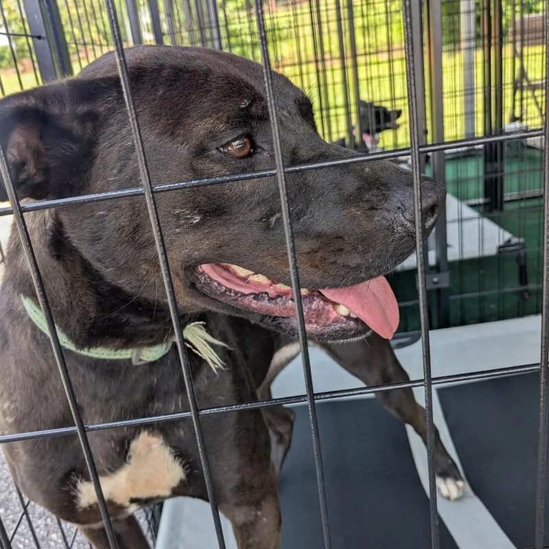 Baby Girl thumbnail 5