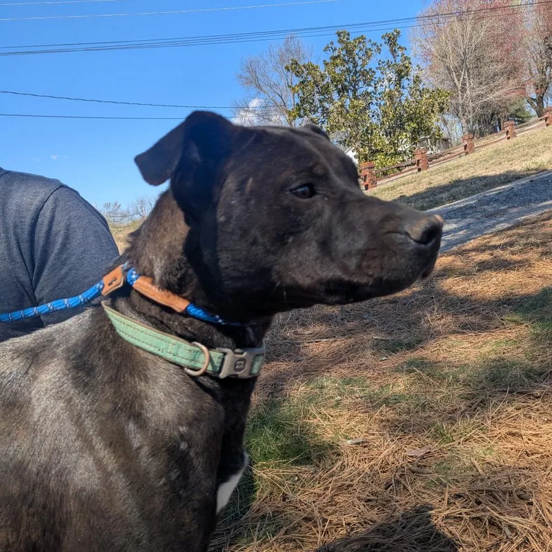 Baby Girl thumbnail 6