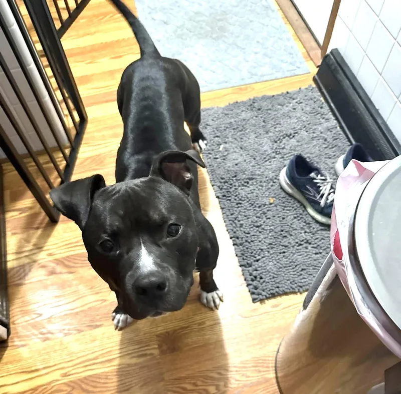 Tucker thumbnail 3