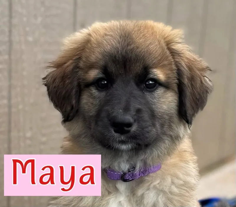 Maya And Wendy thumbnail 2