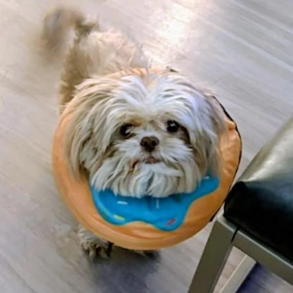 Lola thumbnail 5