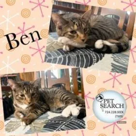 Ben thumbnail 2