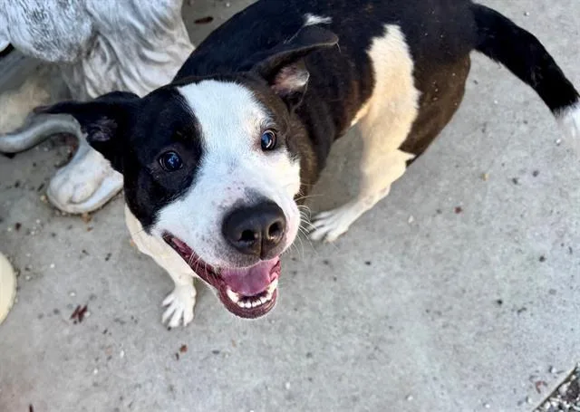 Marlow A thumbnail 2