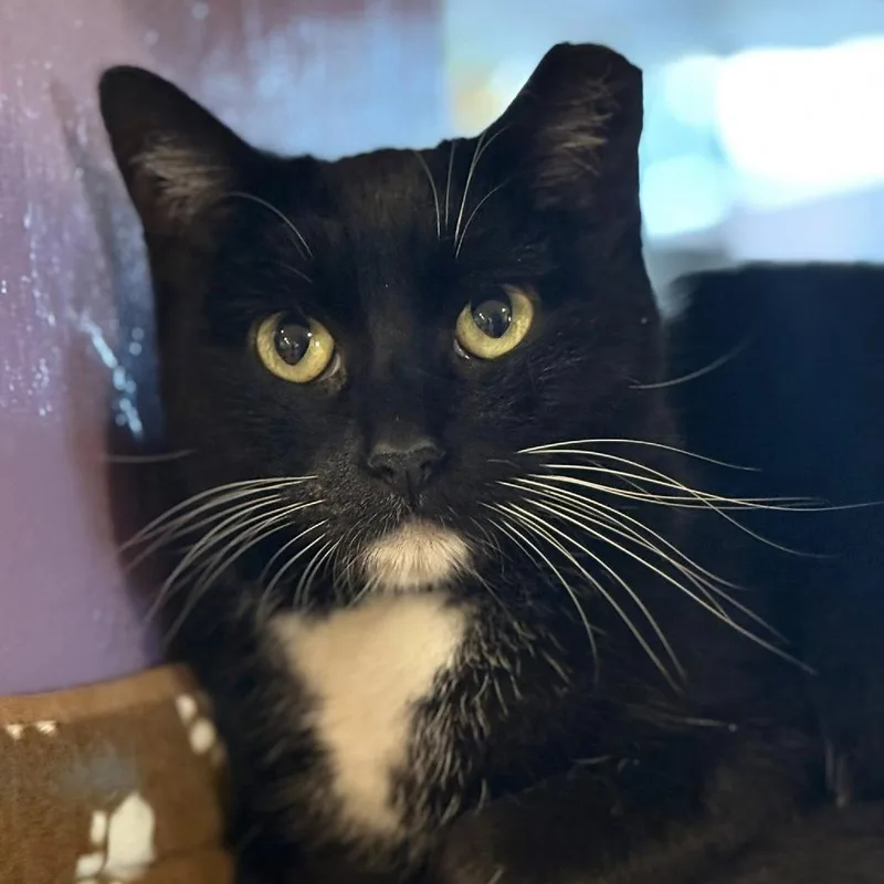 Jordayne thumbnail 3