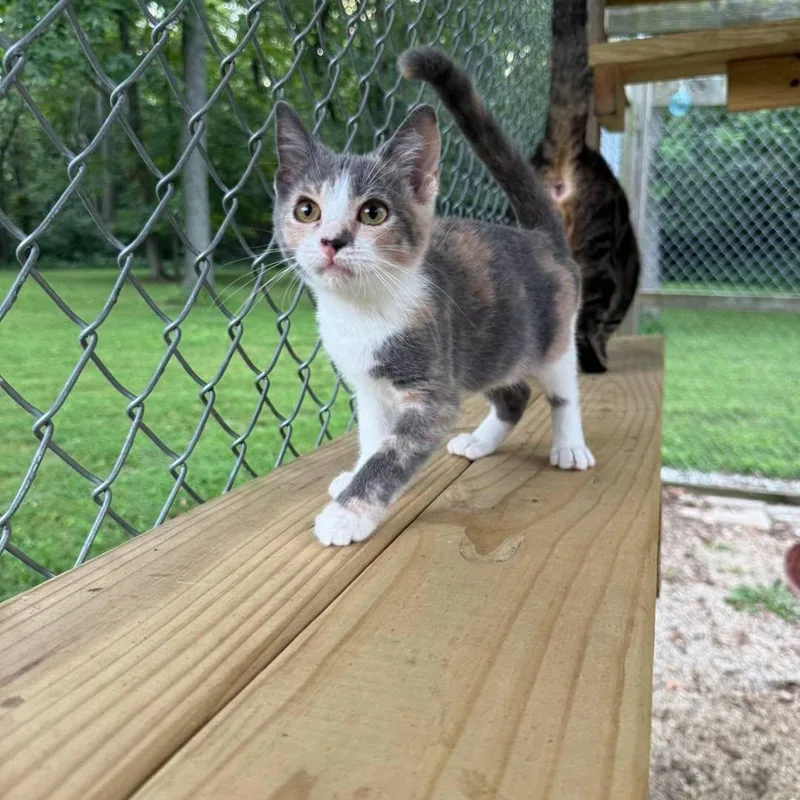 Olivia thumbnail 3