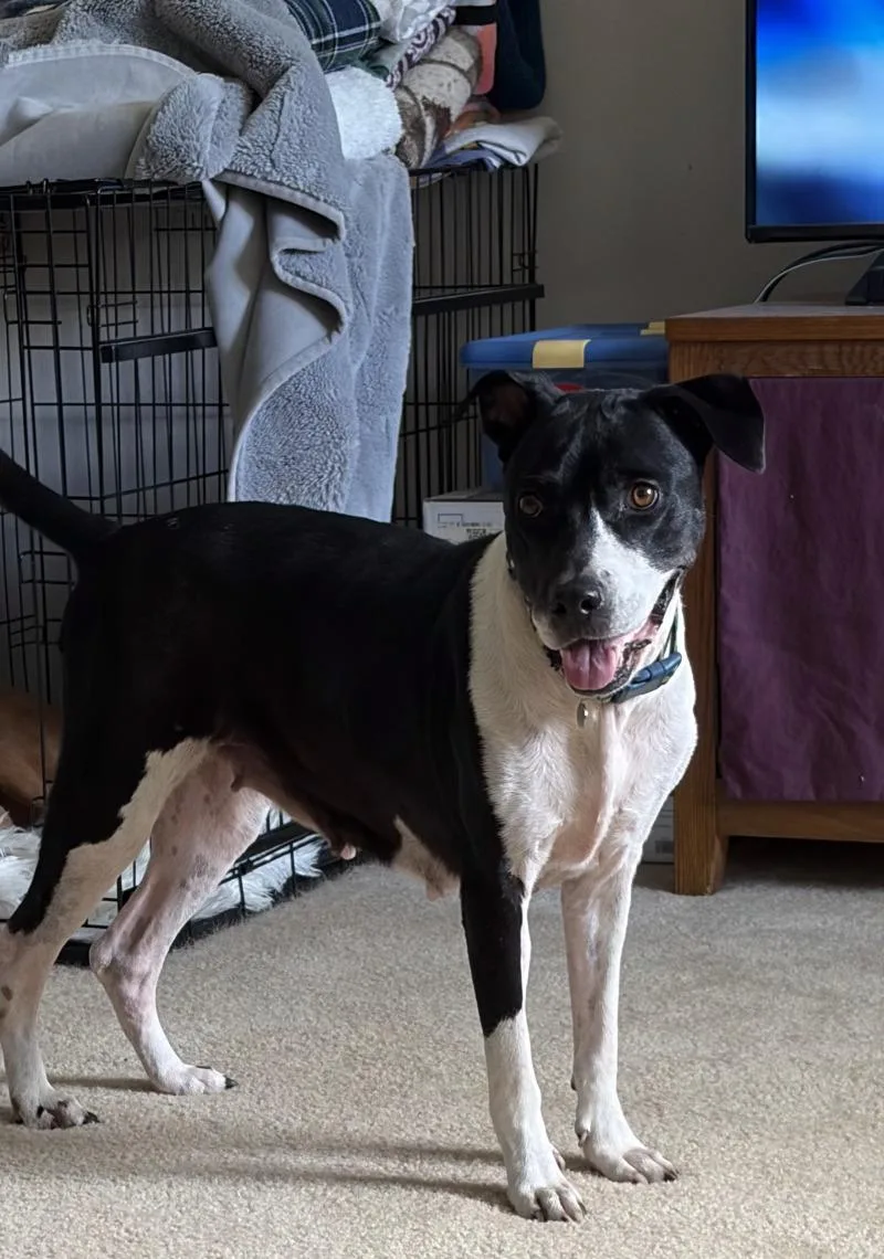 Sweet Molly thumbnail 3