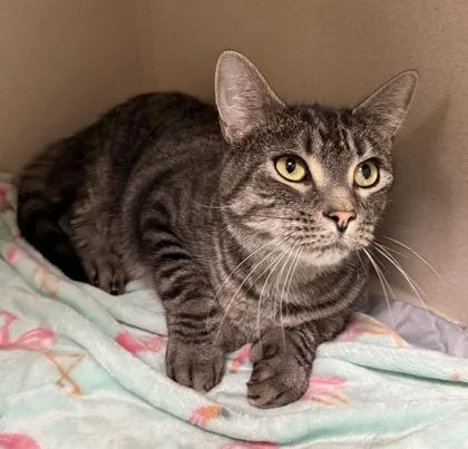 Piglet & Pooh Bonded