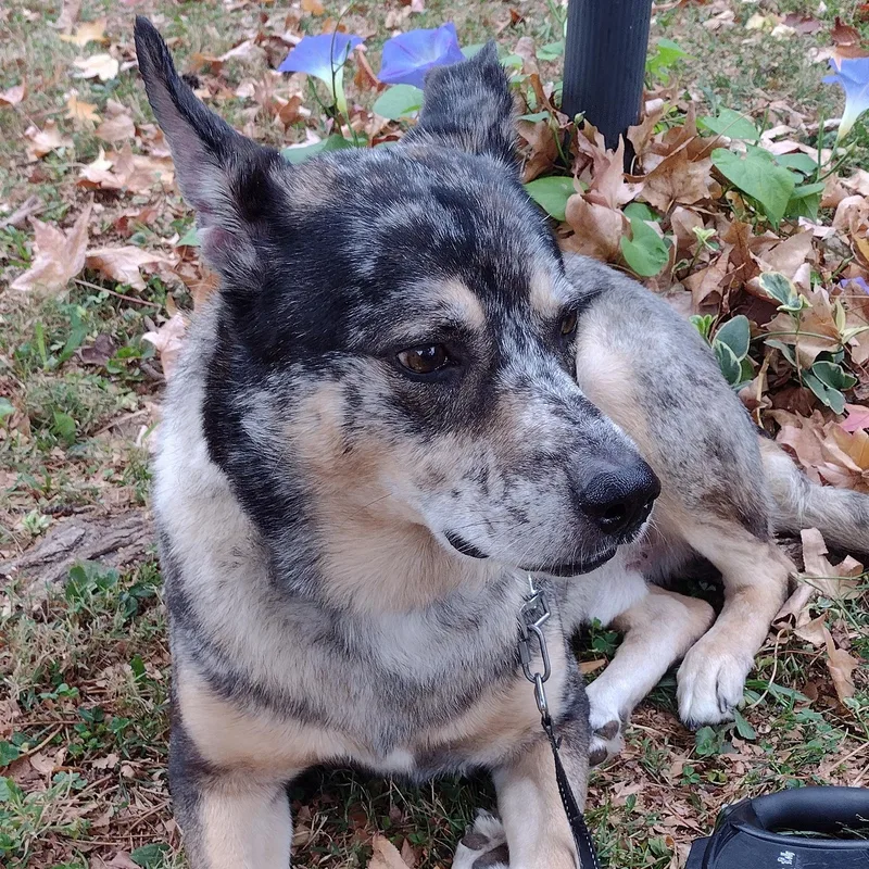 Zeus