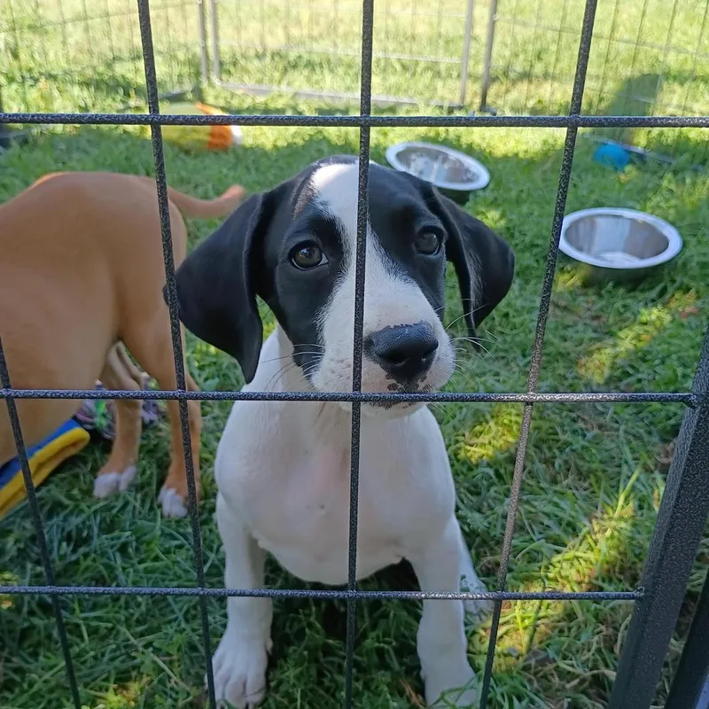 Y Queenie thumbnail 3