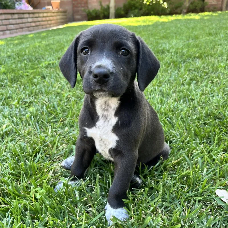 Madeline thumbnail 2