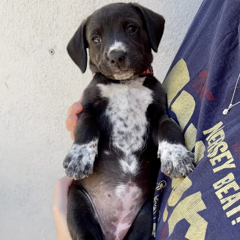 Madeline thumbnail 3