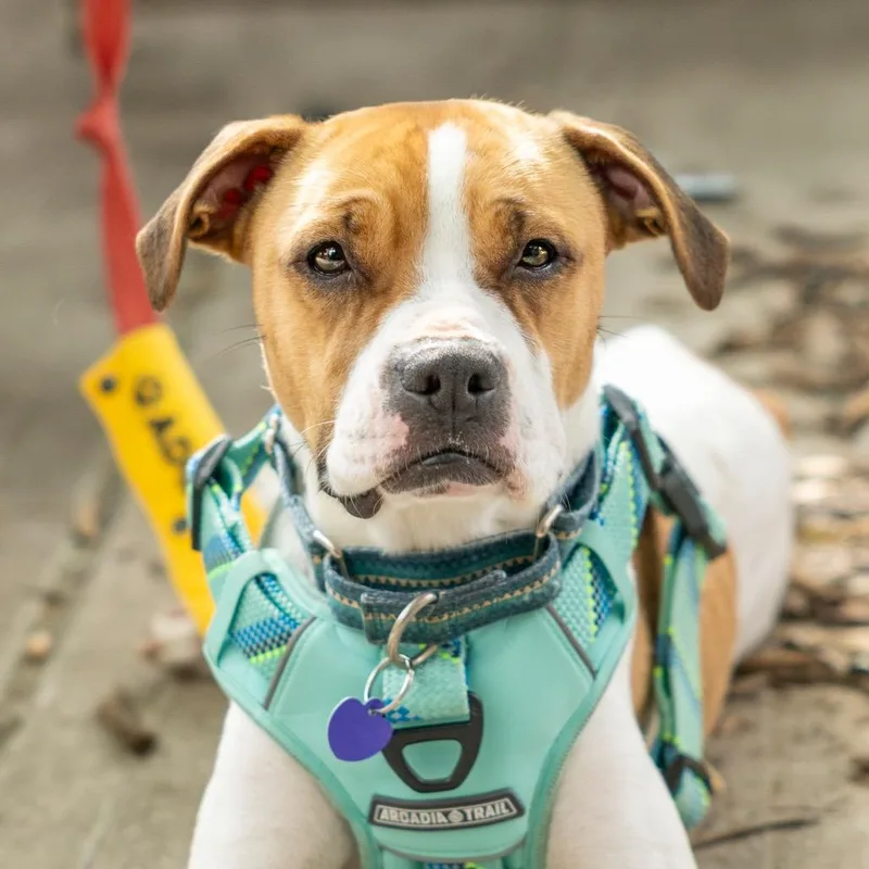 Maebelle thumbnail 2