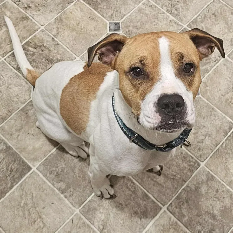 Maebelle thumbnail 3