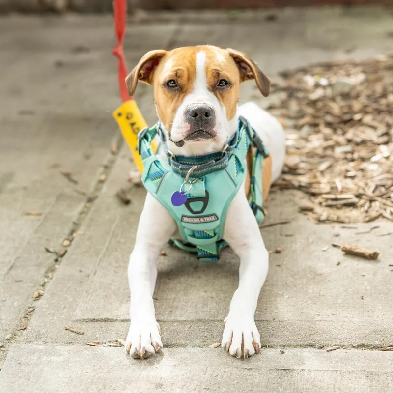 Maebelle thumbnail 4