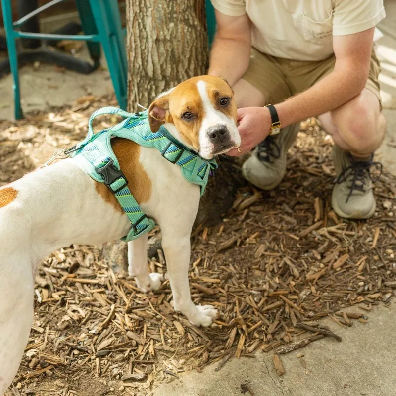 Maebelle thumbnail 5