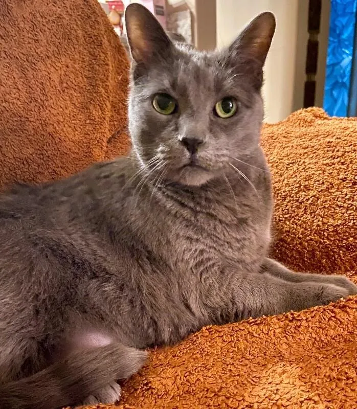 Misty Bonded With Ollie thumbnail 3