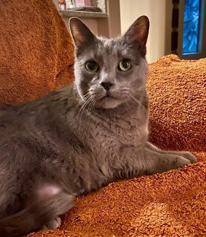 Misty Bonded With Ollie thumbnail 4