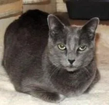 Misty Bonded With Ollie thumbnail 5