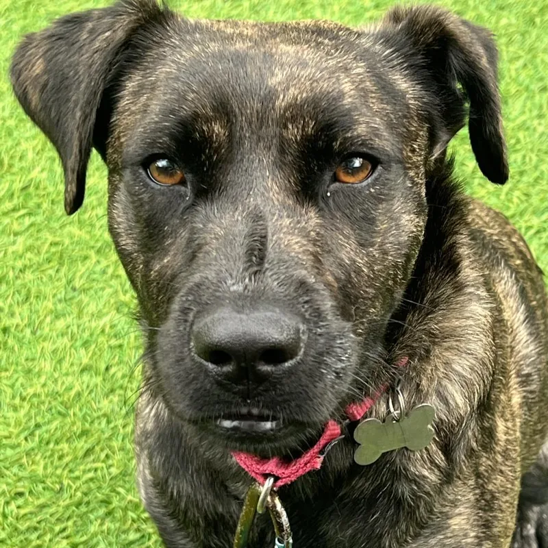 Little Bit thumbnail 2