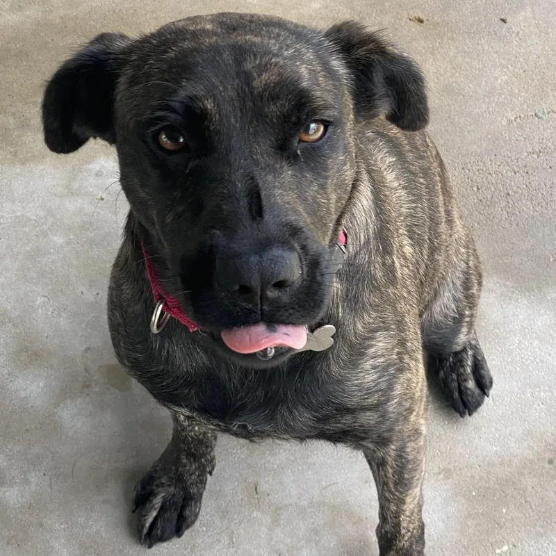 Little Bit thumbnail 6