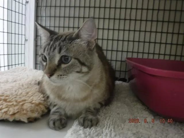Precious