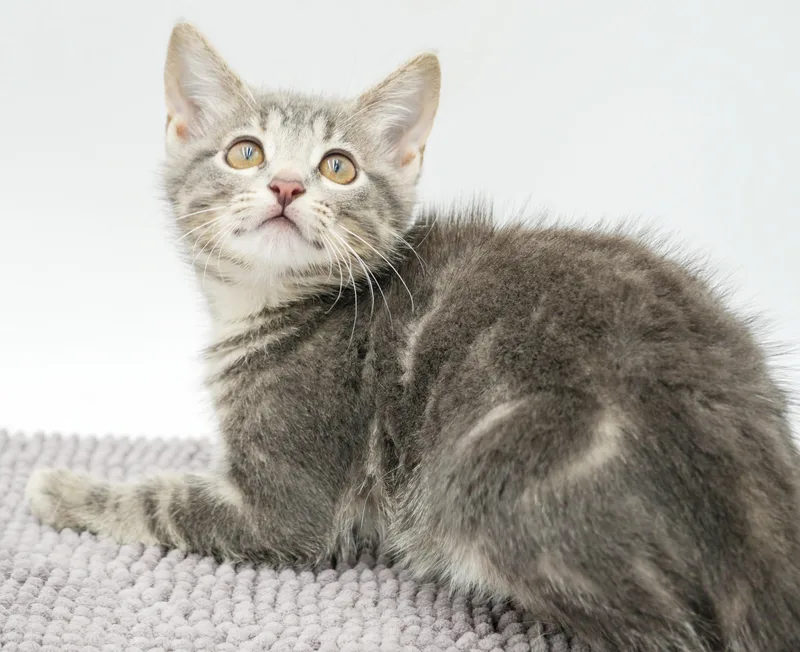 Pickles is precious precious thumbnail 5