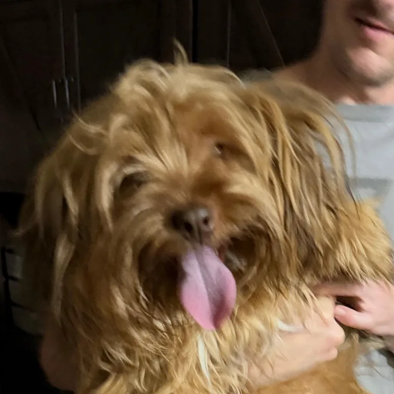 Symba