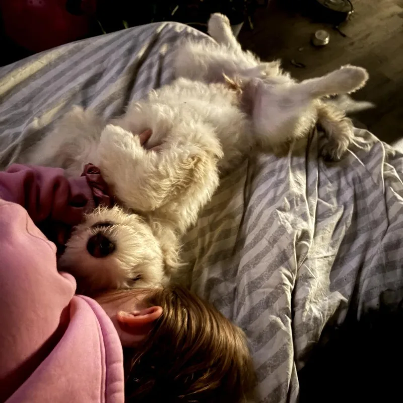 Wiley thumbnail 2