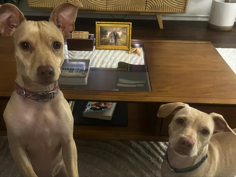 Tika & Sizzy thumbnail 3