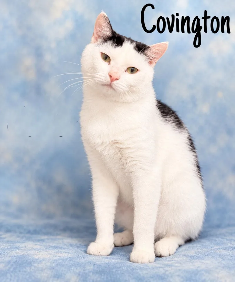 CovingtonWillow Grove thumbnail 2