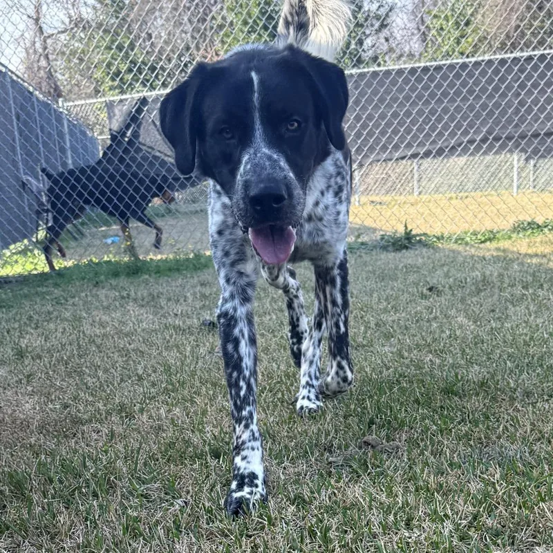 Baxter