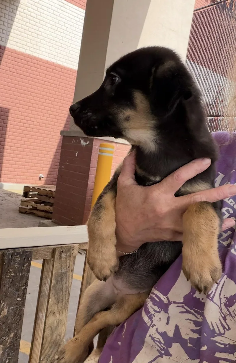 Abigail thumbnail 6