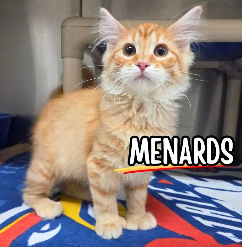 Menards