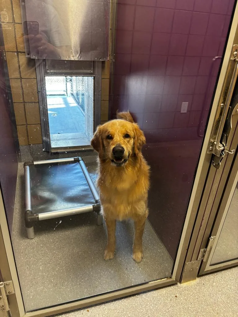 Milo