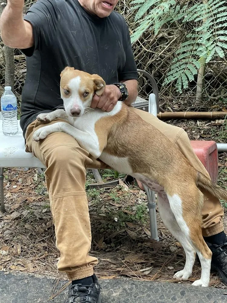 Diva 💜 thumbnail 2