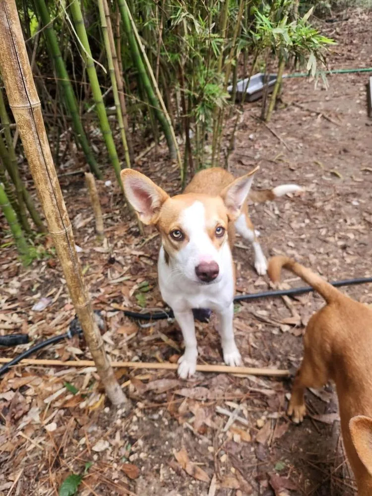 Diva 💜 thumbnail 3