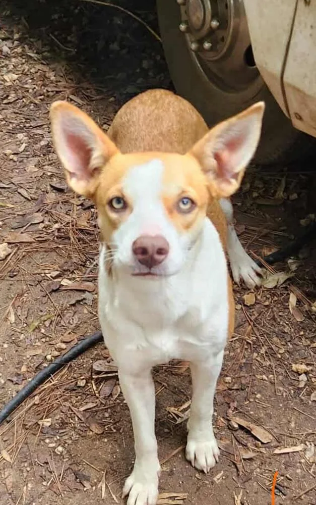 Diva 💜 thumbnail 4