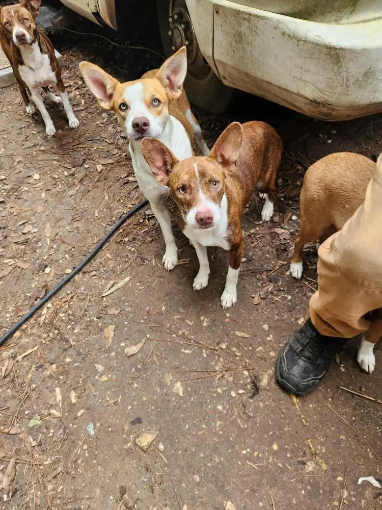 Diva 💜 thumbnail 5